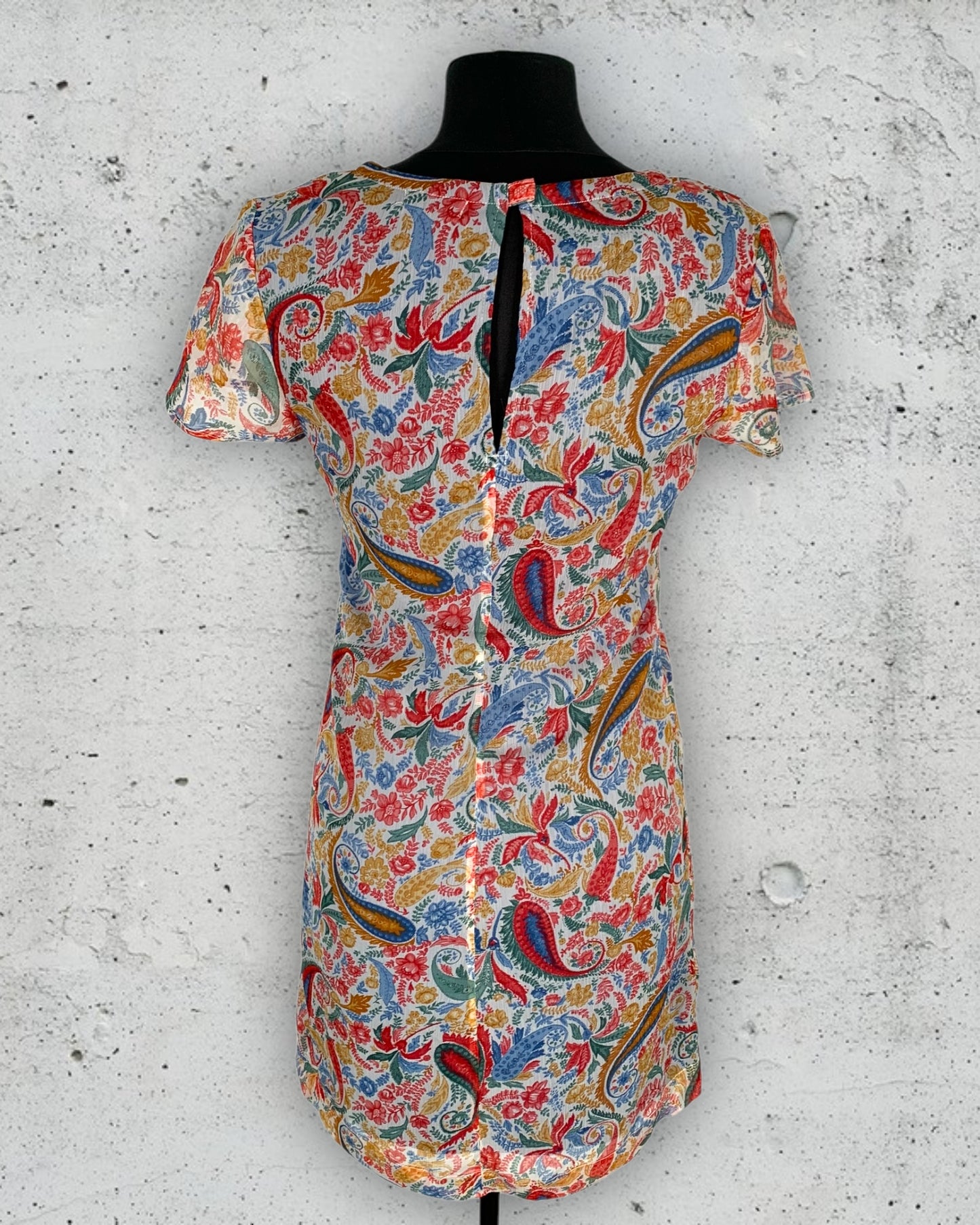 Robe DDP ( S / 36 / 8 )